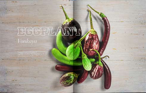 Eggplant page spread.